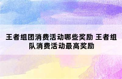 王者组团消费活动哪些奖励 王者组队消费活动最高奖励